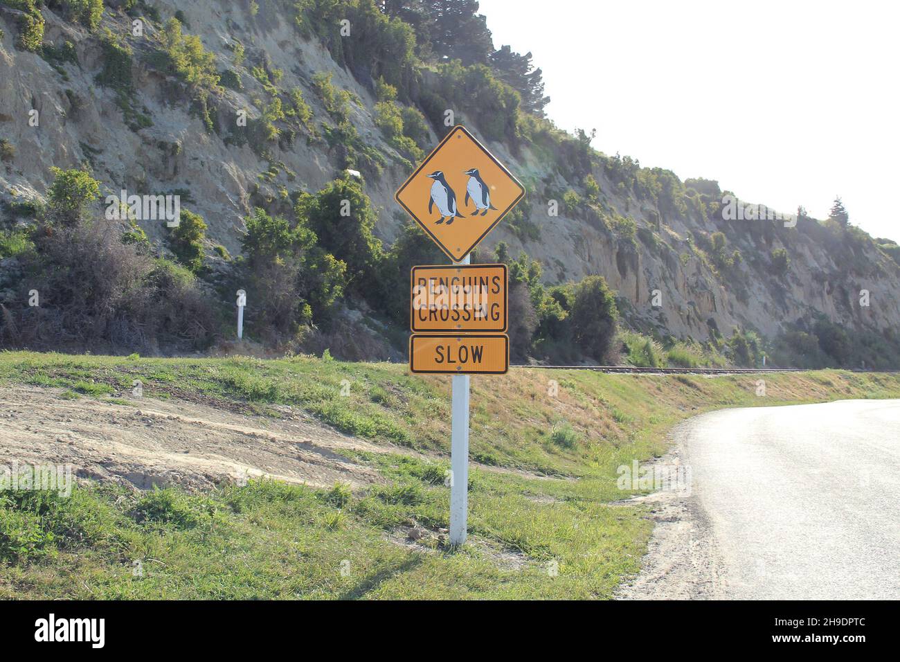 Penguin Crossing Schild in Friendly Bay, Oamaru Stadt in Neuseeland am 28. November. 2010 Stockfoto