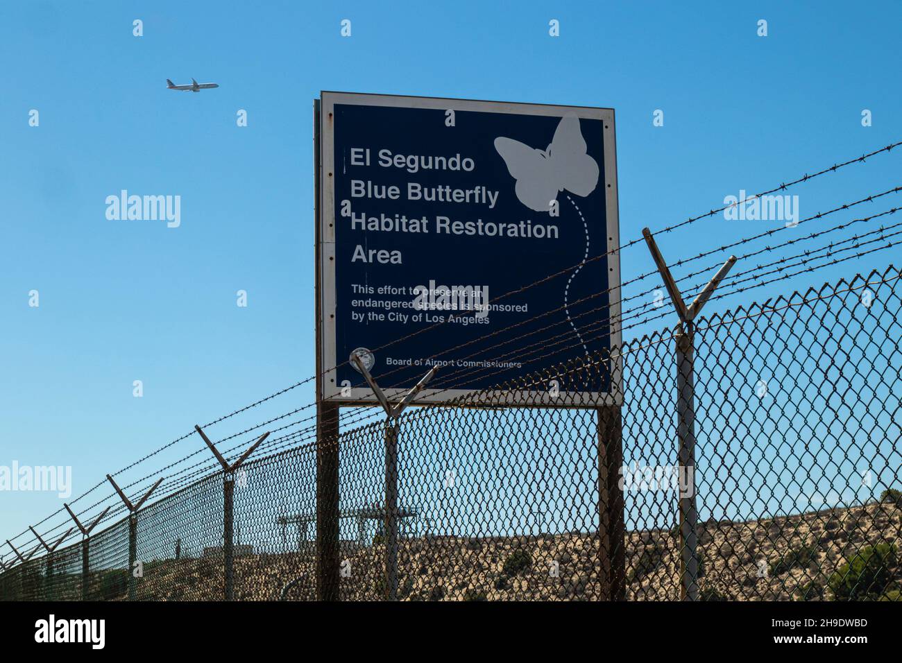 El Segundo Blue Butterfly Habitat Restoration Area, Los Angeles International Airport (LAX), Los Angeles, Callifornia, USA Stockfoto