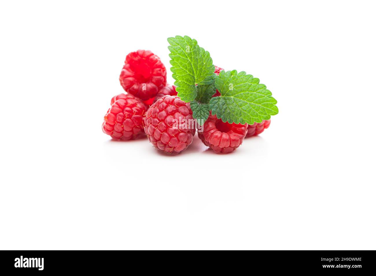 Himbeeren, Minze, Früchte, rot, grün, Blatt, frisch, Himbeere, Früchte, Blätter, Mehr, Details, Essen, fruchtig, leicht, Hell, Hintergrund, Beeren, Beere, Stockfoto