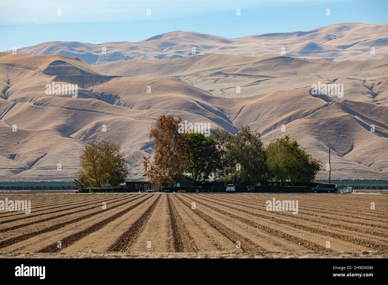 Brachfeld auf dem Bauernhof in der Nähe von Maricopa, Route 166, Kern County, Kalifornien, USA Stockfoto