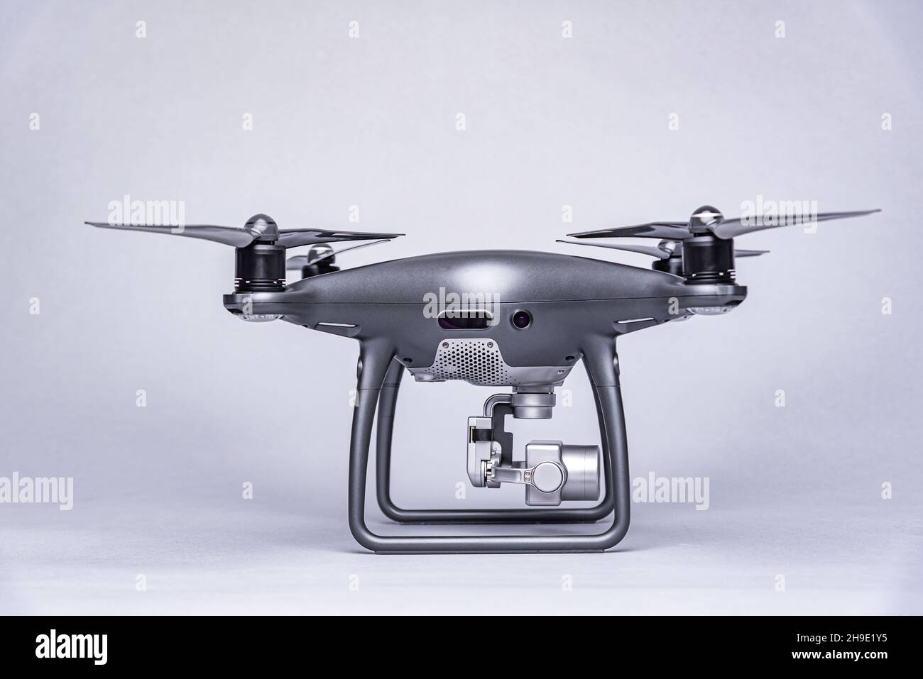 Dunkles Brummen auf grauem Hintergrund. Stockfoto