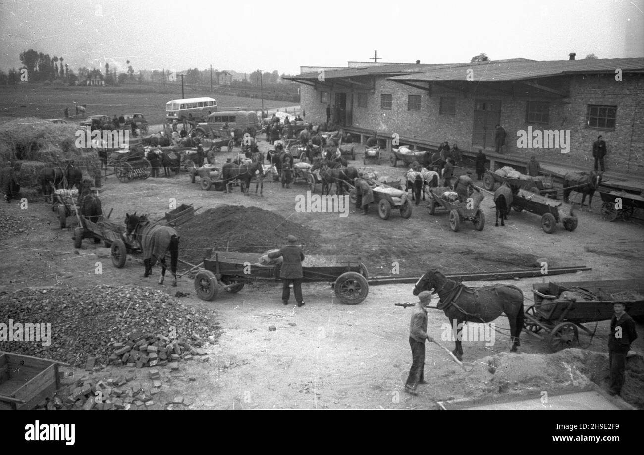 Grodzisk Mazowiecki, 1947-10. Rolnicy z powiatu grodziskiego przy punkcie skupu zbo¿a. Przywiezionym zbo¿em p³ac¹ podatek gruntowy. NZ. plac przed punktem skupu. Na drodze stoi Autobus Chausson, którym podró¿uj¹ Minister aprowizacji W³odzimierz Lechowicz, wojewoda warszawski Dura oraz dziennikarze, wizytuj¹c mazowieckie punkty skupu. mb/gr PAP Dok³adny dzieñ wydarzenia nieustalony. Grodzisk Mazowiecki, 1947. Okt. Bauern aus dem Landkreis Grodzisk mazowiecki an der Getreidesammelstelle. Sie nutzen Getreide, um die Landsteuer zu bezahlen. Im Bild: Ein Quadrat vor der Sammelstelle. Auf dem Roa Stockfoto