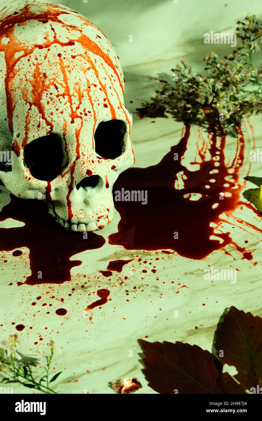 Blutiger Herbst Saison Feiertagsdekoration Halloween Totenkopf Stockfoto