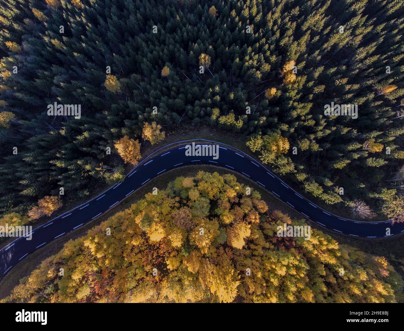 Einsame Straße Stockfoto