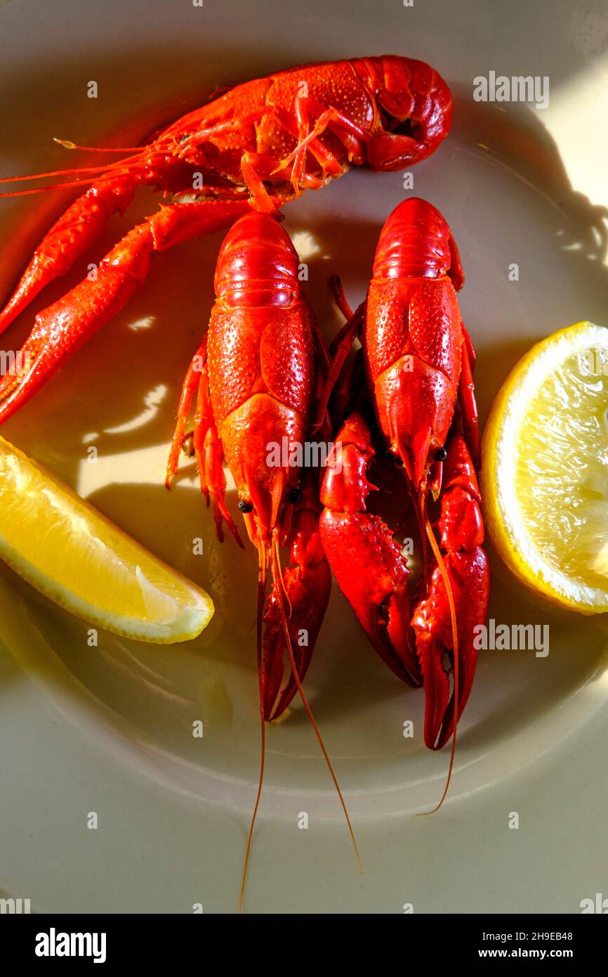 Abendessen mit gekochten buttrigen Krebsen und Meeresfrüchten, serviert mit Zitronenkeilen Stockfoto