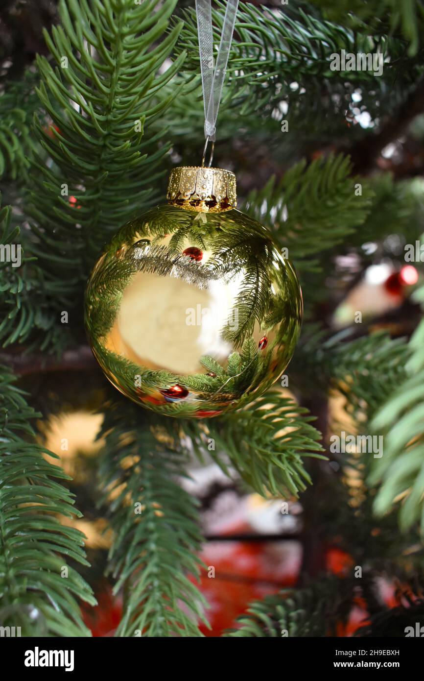 Die goldene Kugel im Weihnachtsbaum Stockfoto