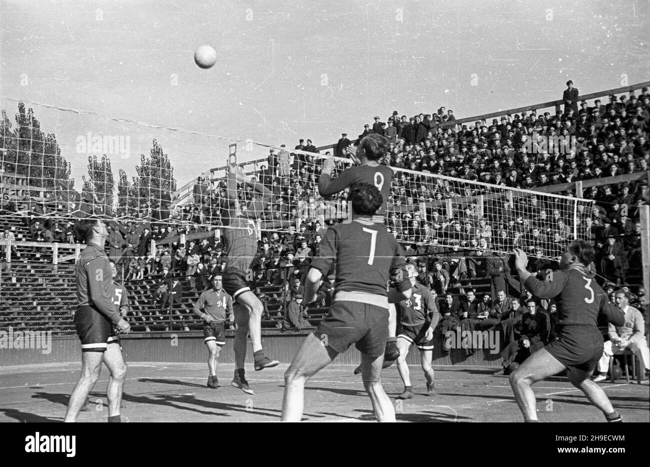 Warszawa, 1947-10-26. Mecz siatkarski Dynamo Moskwa - AZS Warszawa na Centralnym korcie Legii przy ul. Myœliwieckiej. NZ. Siatkarze radzieccy rozgrywaj¹ pi³kê ps/gr PAP Warschau, 26. Oktober 1947. Ein Dynamo Moskau - AZS Warszawa Volleyballspiel auf einem zentralen Platz des Legia-Stadions in der Mysliwiecka-Straße. Im Bild: Dynamo Spieler spielen den Ball. ps/gr PAP Stockfoto