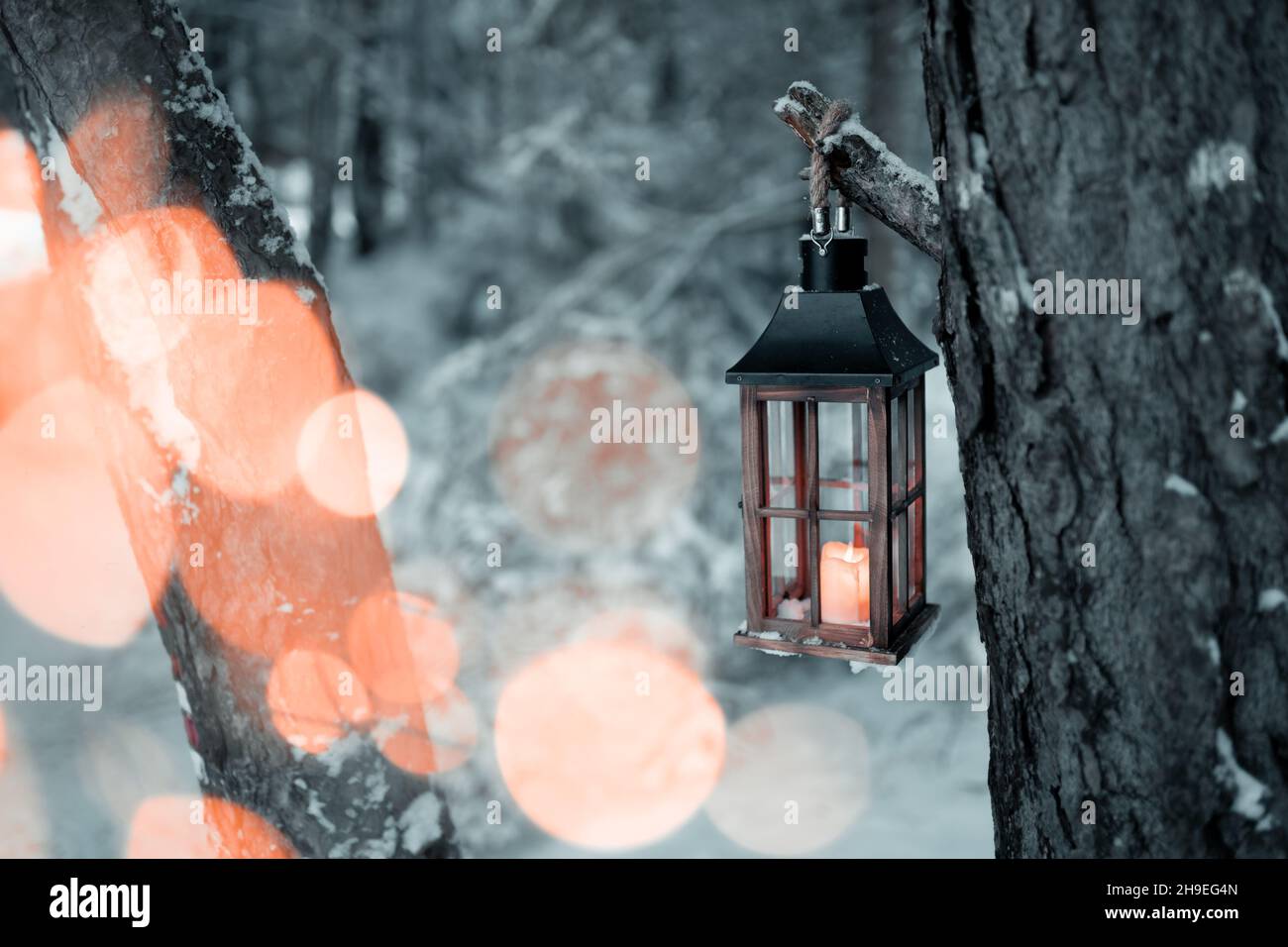 Frohe weihnachten, Laterne mit einer Kerze in der Mitte eines kalten und gefrorenen Waldes während eines Winterabends im Wald, die Weihnachtsstimmung, Licht Stockfoto