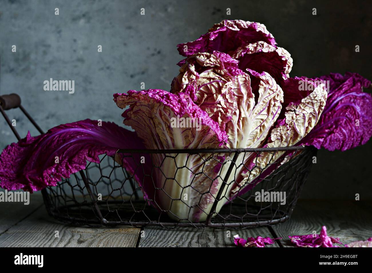 Eine Schaukel von frischem purpurem (sehr perifarbenem) chinesischen (Peking-)Kohl in einem Korb auf einem dunklen Holzhintergrund. Gesundes Esskonzept, gehen Sie vegan. Low-Taste Stockfoto