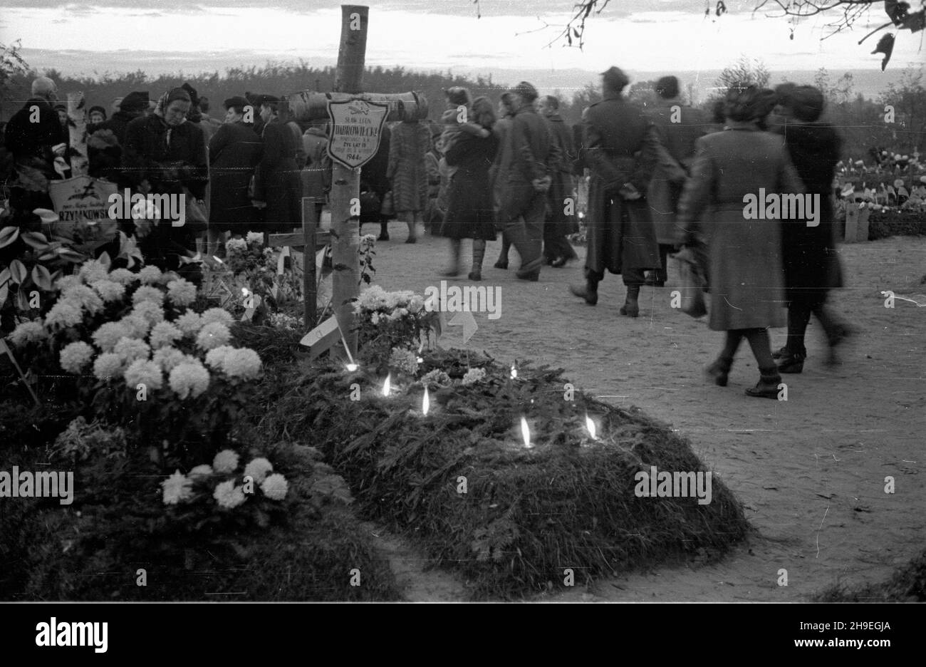 Warszawa, 1947-11-01. Dzieñ Wszystkich Œwiêtych na cmentarzu Wojskowym na Pow¹zkach. NZ. groby ¿o³nierzy Armii Krajowej. ps/gr PAP Warschau, 1. November 1947. Allerheiligen auf dem Powazki Militärfriedhof. Im Bild: Gräber von Soldaten der Heimatarmee. ps/gr PAP Stockfoto