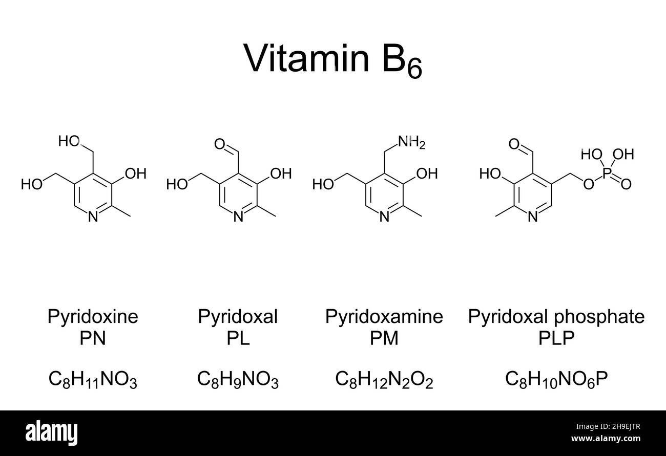 Vitamin B6, chemische Formeln und Strukturen. Die wichtigsten Vitamine von Vitamin B6. Pyridoxin, Pyridoxalpyridoxamin und Pyridoxalphosphat. Stockfoto