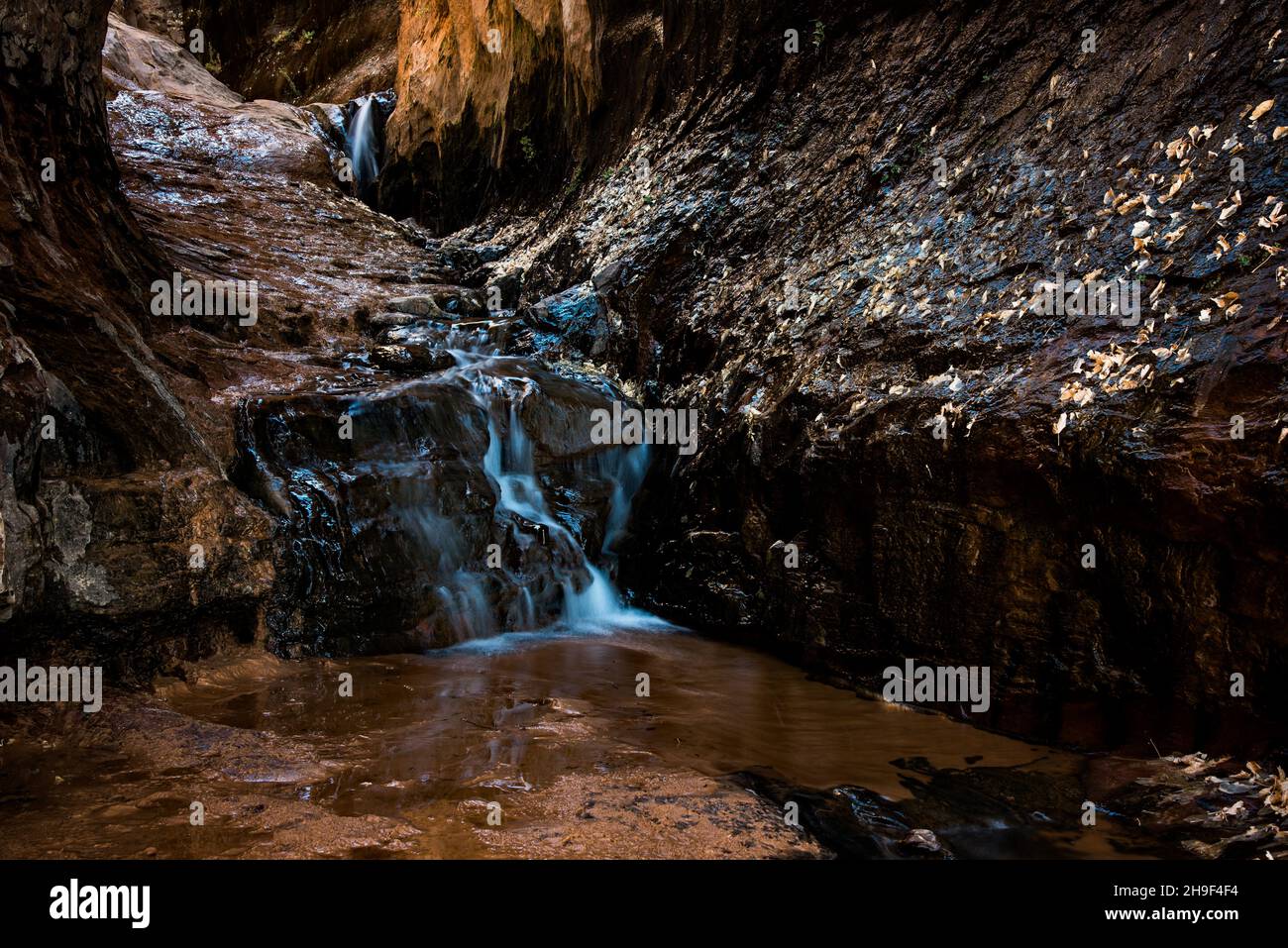 Reines, sauberes Wasser rieselt durch den Sandstein hoher Bergklippen. Der Sandstein bildet ein natürliches Filtrationssystem. Stockfoto