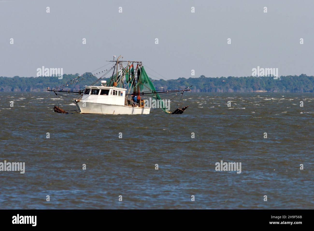 Ein Garnelenboot, das entlang der Küste von Fripp Island, South Carolina, USA, gefunden wurde. Stockfoto