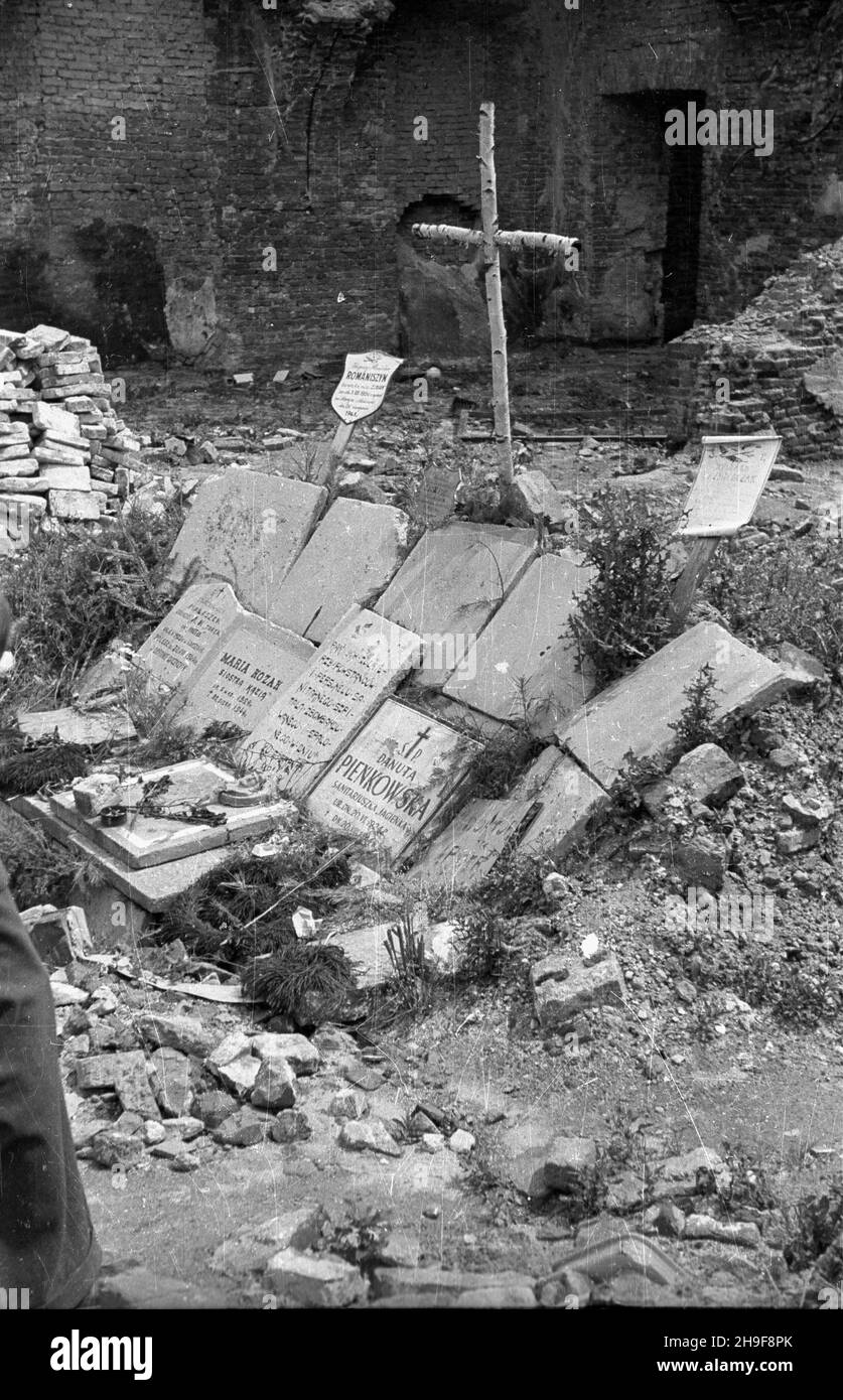 Warszawa, 1948. Groby powstañców warszawskich, którzy zginêli 20-08-1944 r. w szpitalu polowym w okolicach Starego Miasta. pw PAP/Stanis³aw D¹browiecki Dok³adny dzieñ wydarzenia nieustalony. Warschau, 1948. Gräber von Warschauer Aufständischen, die am 2. August 1944 in einem Feldlazarett in der Altstadt ums Leben kamen. pw PAP/Stanislaw Dabrowiecki Stockfoto