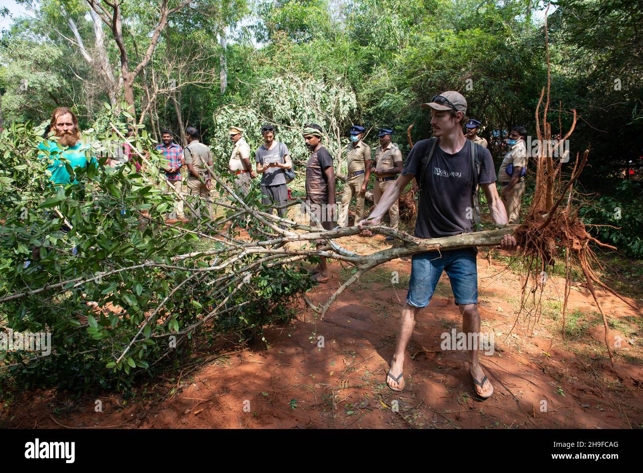 Auroville, Indien - 4th. Dezember 2021: Versuch, einen Baum zu retten, der gerade durch die Intervention der Bagger, die im Bliss-Wald erschienen, prote, geschnitten wurde Stockfoto