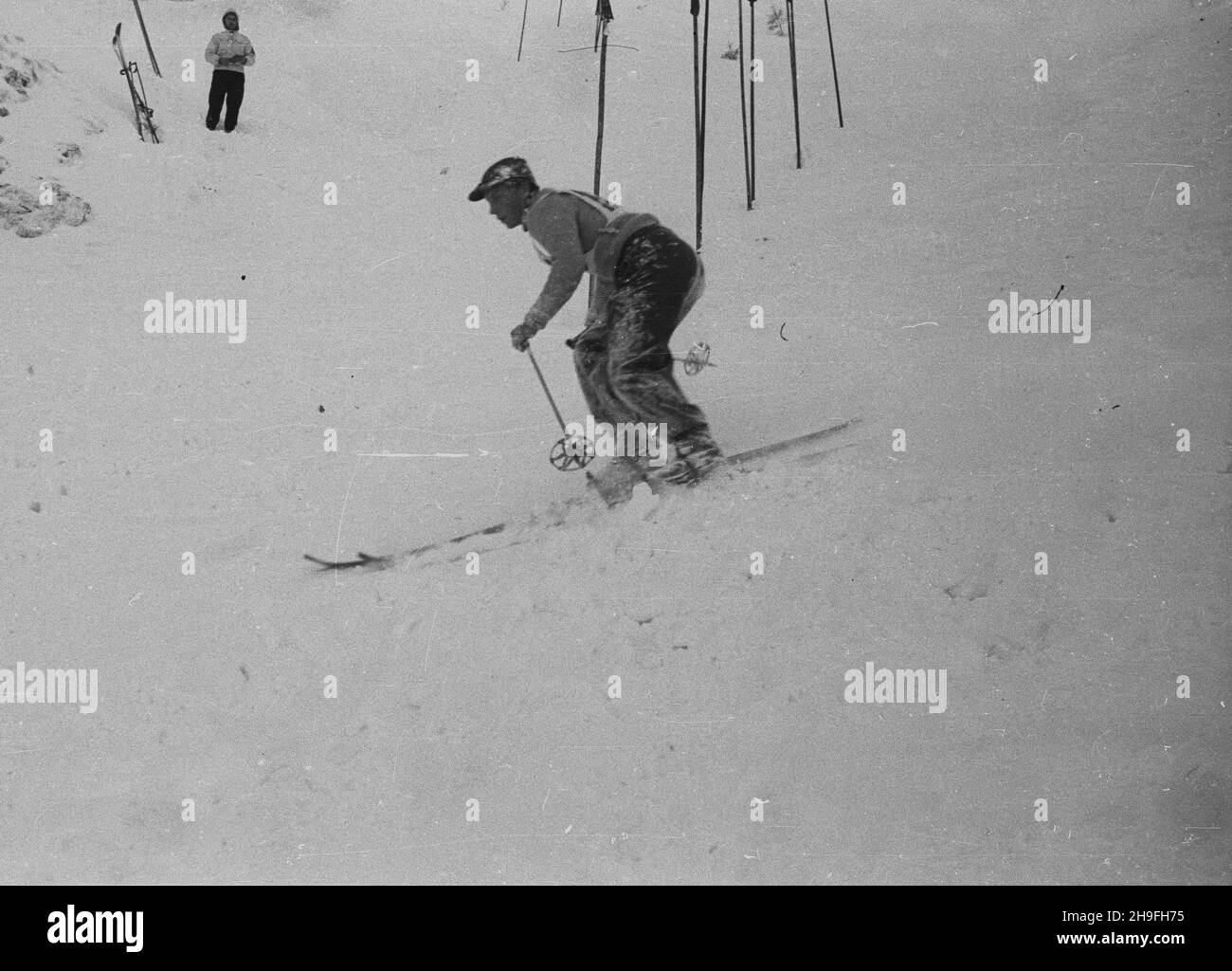 Zakopane, 1948-02-02. Mistrzostwa Polski Juniorów w konkurencjach narciarskich. W najwiêkszej po wojnie imprezie sportowej uczestniczy³o Ponad 650 zawodników. NZ. Zawodnik podczas slalomu. po/gr PAP Zakopane, 2. Februar 1948. Polen Junioren-Meisterschaften bei Ski-Events. Die größte Sportveranstaltung nach dem Krieg zog über 650 Teilnehmer an. Bild: Ein Teilnehmer auf einem Slalom-Kurs. po/gr PAP Stockfoto