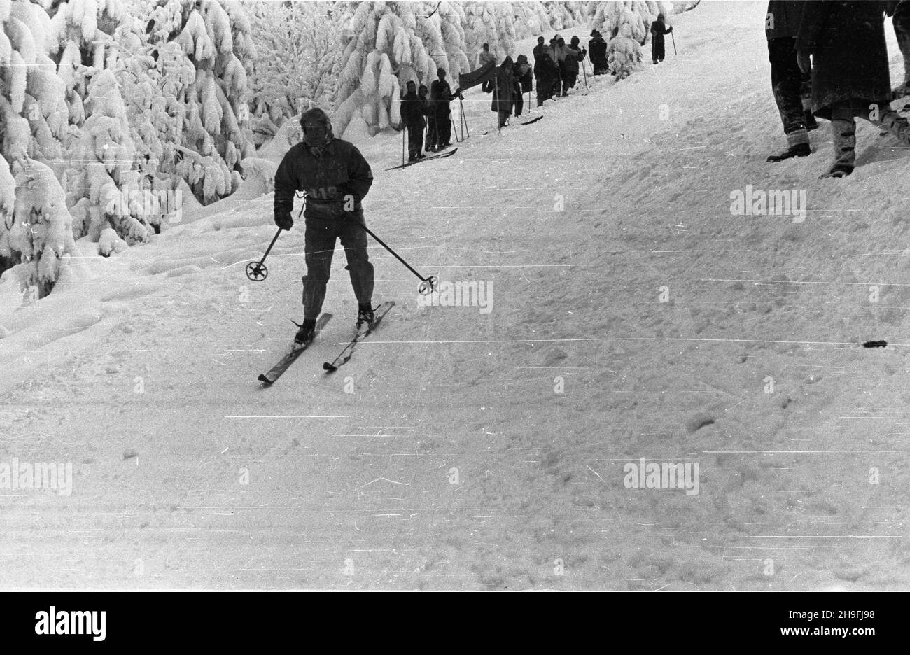 Karpacz, 1948-02-19. W dniach od 18 do 22 lutego odbywa³y siê Mistrzostwa Narciarskie Polski. NZ. bieg zjazdowy rozgrywany na stokach Ma³ej kopy pod Œnie¿k¹. msa PAP Karpacz, 19. Februar 1948. Die polnische Ski-Meisterschaft wurde vom 18. Bis 22. Februar abgehalten. Im Bild: Ein Downhillrennen auf Mala Kopa am Fuße des Sniezka. msa PAP Stockfoto