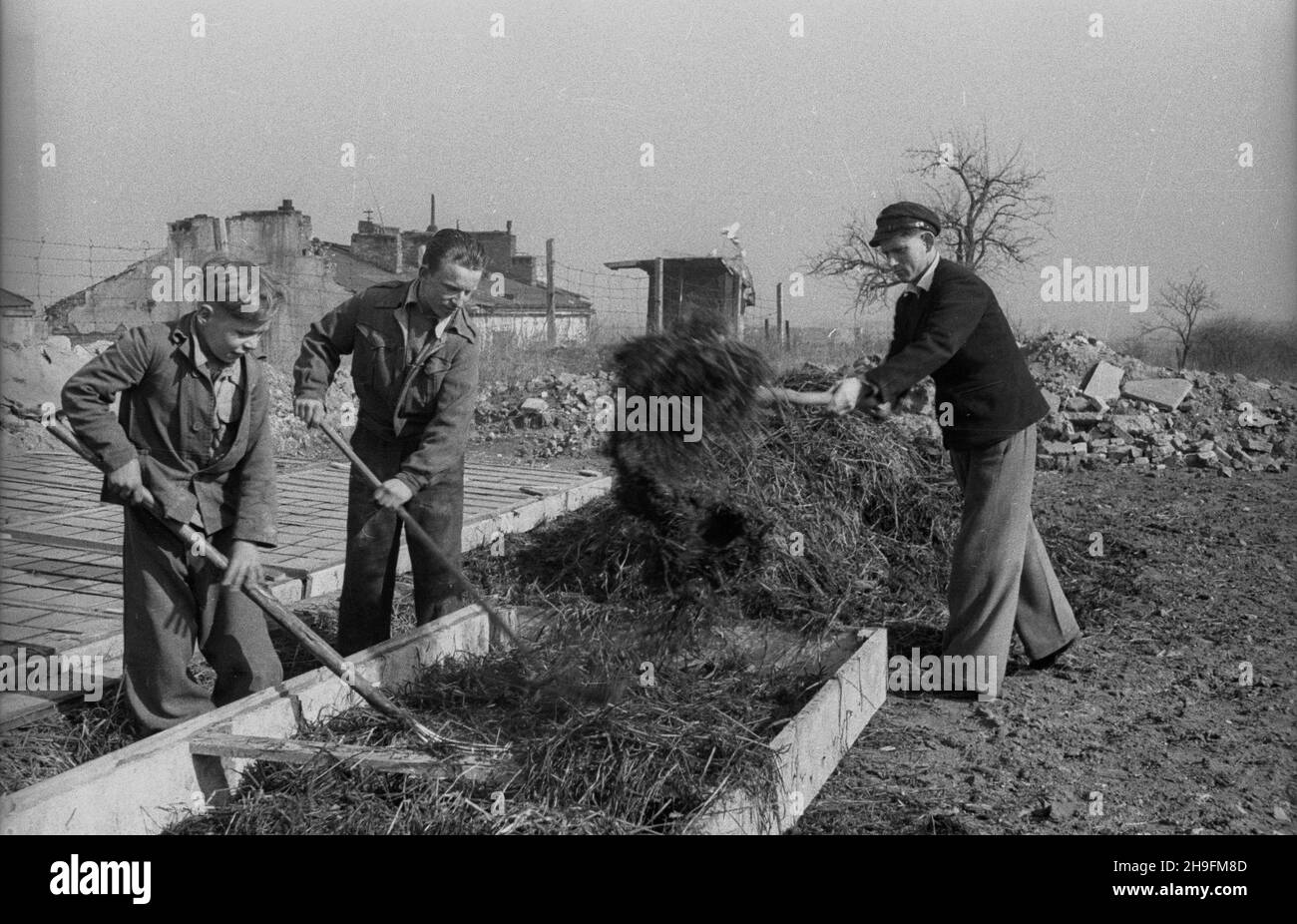 Warszawa, 1948-03. Dom dla ch³opców – sierot wojennych przy ul. Pu³awskiej 97, prowadzony przy pomocy materialnej z Miêdzynarodowego Funduszu Pomocy Dzieciom i M³odzie¿y przy ONZ. NZ. Wychowankowie podczas pracogrodniczych na terenie placówki. Ch³opcy buduj¹ inspekty dla roœlin. uu PAP Dok³adny dzieñ wydarzenia nieustalony. Warschau, März 1948. Das Heim für Jungen - Kriegswaisen in der Pulawska-Straße 97, wird mit finanzieller Unterstützung des Internationalen Kinder- und Jugendhilfefonds der Vereinten Nationen geführt. Im Bild: Jungs während der Gartenarbeit - Baurahmen. uu PAP Stockfoto