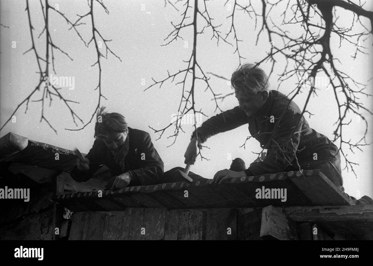 Warszawa, 1948-03. Dom dla ch³opców – sierot wojennych przy ul. Pu³awskiej 97, prowadzony przy pomocy materialnej z Miêdzynarodowego Funduszu Pomocy Dzieciom i M³odzie¿y przy ONZ. NZ. Naprawa dachu cieplarni za³o¿onej przez ch³opców. uu PAP Dok³adny dzieñ wydarzenia nieustalony. Warschau, März 1948. Das Heim für Jungen - Kriegswaisen in der Pulawska-Straße 97, wird mit finanzieller Unterstützung des Internationalen Kinder- und Jugendhilfefonds der Vereinten Nationen geführt. Im Bild: Jungs reparieren das Dach eines selbst gebauten Gewächshauses. uu PAP Stockfoto