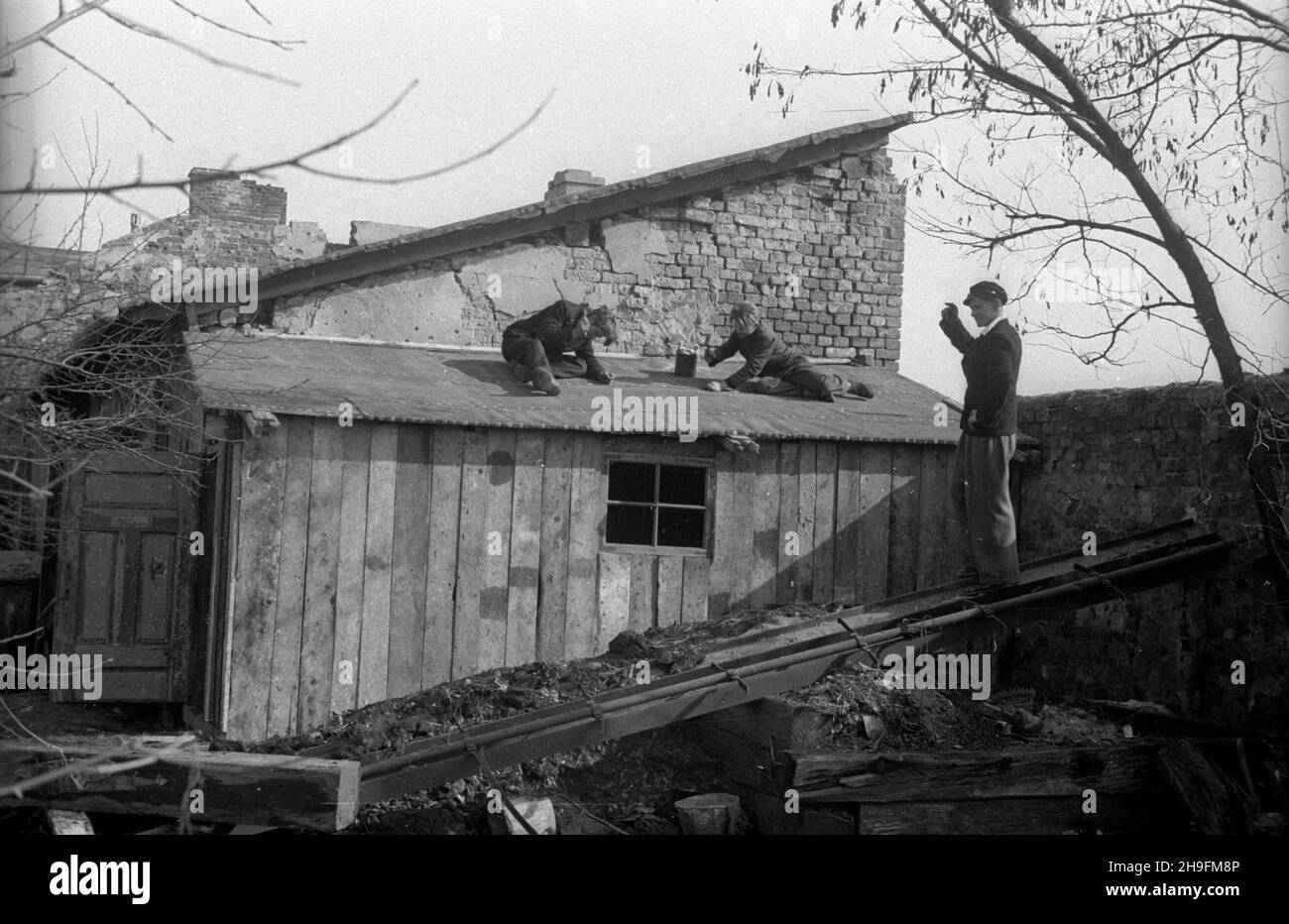 Warszawa, 1948-03. Dom dla ch³opców – sierot wojennych przy ul. Pu³awskiej 97, prowadzony przy pomocy materialnej z Miêdzynarodowego Funduszu Pomocy Dzieciom i M³odzie¿y przy ONZ. NZ. Naprawa dachu cieplarni za³o¿onej przez ch³opców. uu PAP Dok³adny dzieñ wydarzenia nieustalony. Warschau, März 1948. Das Heim für Jungen - Kriegswaisen in der Pulawska-Straße 97, wird mit finanzieller Unterstützung des Internationalen Kinder- und Jugendhilfefonds der Vereinten Nationen geführt. Im Bild: Jungs reparieren das Dach eines selbst gebauten Gewächshauses. uu PAP Stockfoto