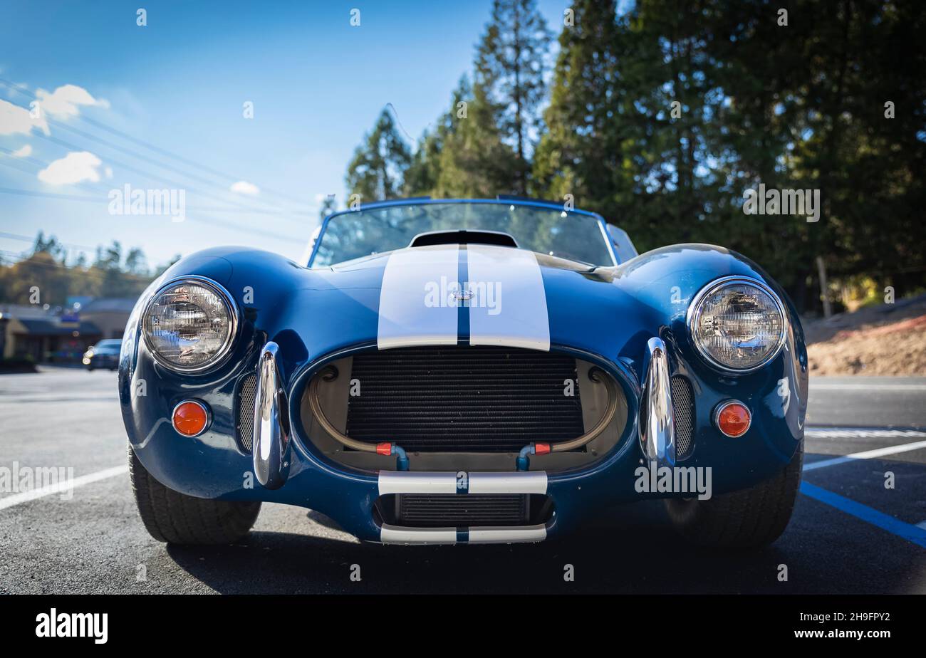 Placerville, USA - 25. November 2020: Klassisches, seltenes amerikanisches Muskelauto, Cabriolet in Oldtimer-Blau 1967 Ford Shelby Cobra 427 Stockfoto