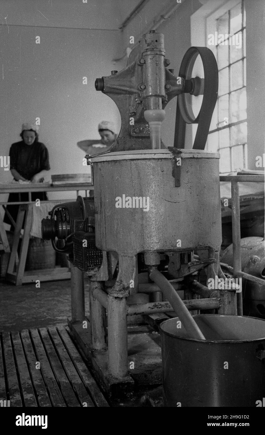 M³odzieszyn, 1948-04. Zak³ady Przemys³owe Chemiczno-Farmaceutyczne Starut. NZ. produccja leków. Ad PAP Dok³adny dzieñ wydarzenia nieustalony. Mlodzieszyn, April 1948. Die Chemisch-Pharmazeutische Fabrik Starut. Im Bild: Herstellung von Medikamenten. Ad PAP Stockfoto
