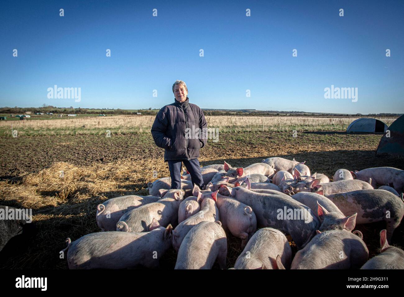 HELEN BROWNING, Chief Executive der Soil Association und Bio-Schweinebauer auf der Eastbrook Farm Bishopstone, Großbritannien Stockfoto
