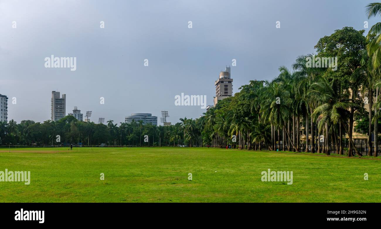 MUMBAI, INDIEN - 2. Oktober 2021 : üppig grüner Oval-Platz im Süden von mumbai beliebt bei Mumbai Menschen für Cricket spielen Stockfoto