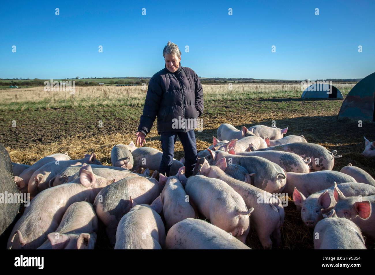 HELEN BROWNING, Chief Executive der Soil Association und Bio-Schweinebauer auf der Eastbrook Farm Bishopstone, Großbritannien Stockfoto