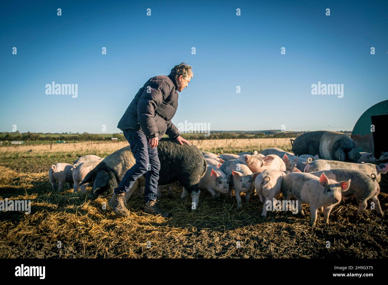 HELEN BROWNING, Chief Executive der Soil Association und Bio-Schweinebauer auf der Eastbrook Farm Bishopstone, Großbritannien Stockfoto