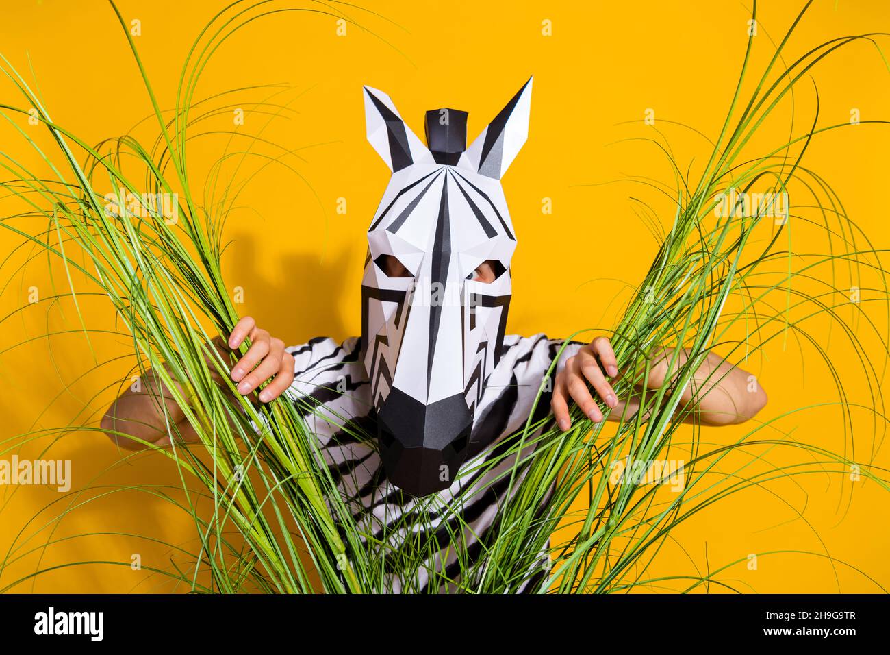 Foto von verrückten verdächtigen Mann tragen Zebra-Druck T-Shirt Maske Blick Sie durch hohes Gras isoliert gelben Hintergrund Stockfoto
