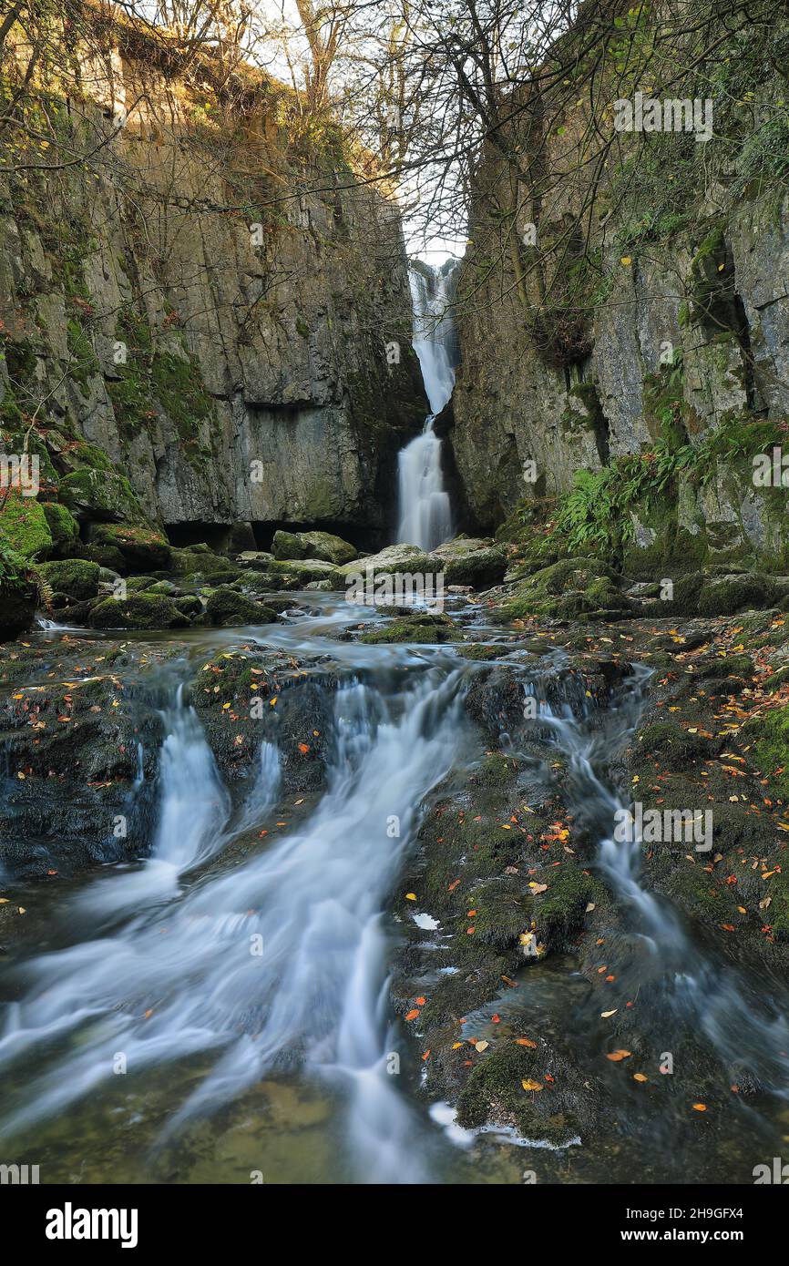 Wasserfälle bei Catrifgg Force, nur einen kurzen Spaziergang vom Dorf Stainforth im Yorkshire Dales National Park, North Yorkshire, Großbritannien Stockfoto