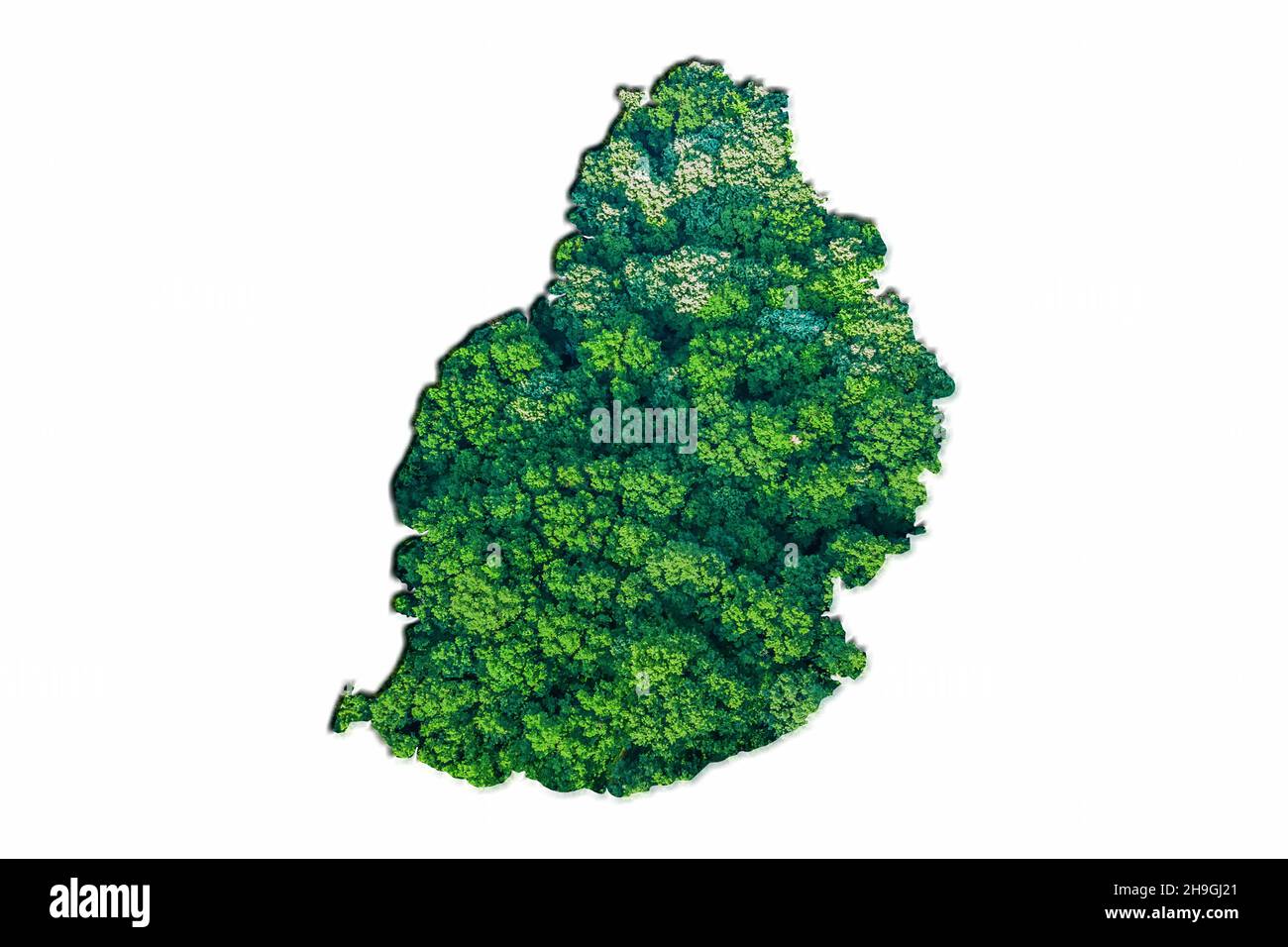 Green Forest Karte von Mauritius, auf weißem Hintergrund Stockfoto