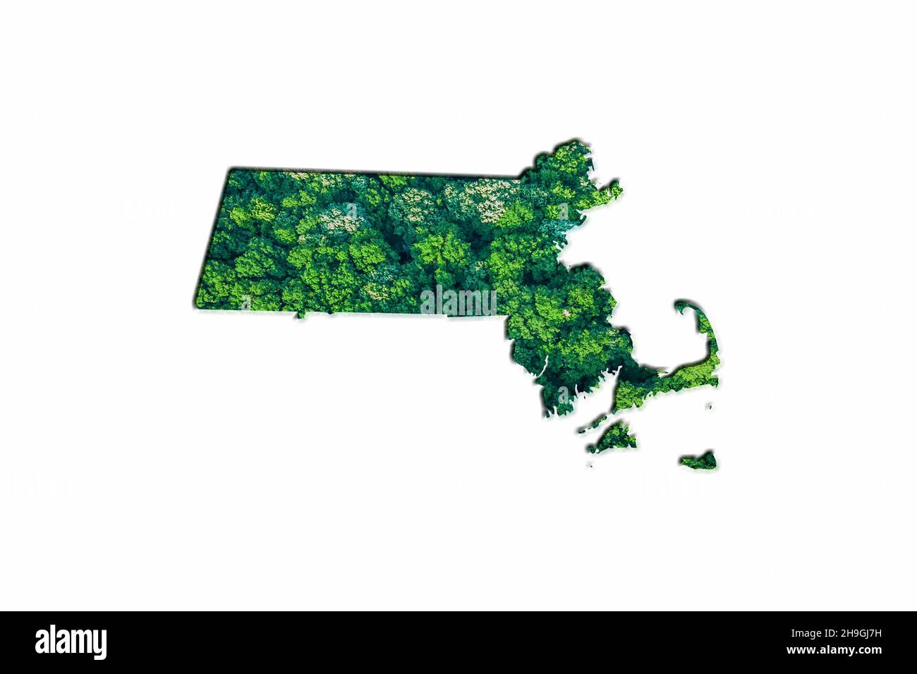 Green Forest Karte von Massachusetts, auf weißem Hintergrund Stockfoto