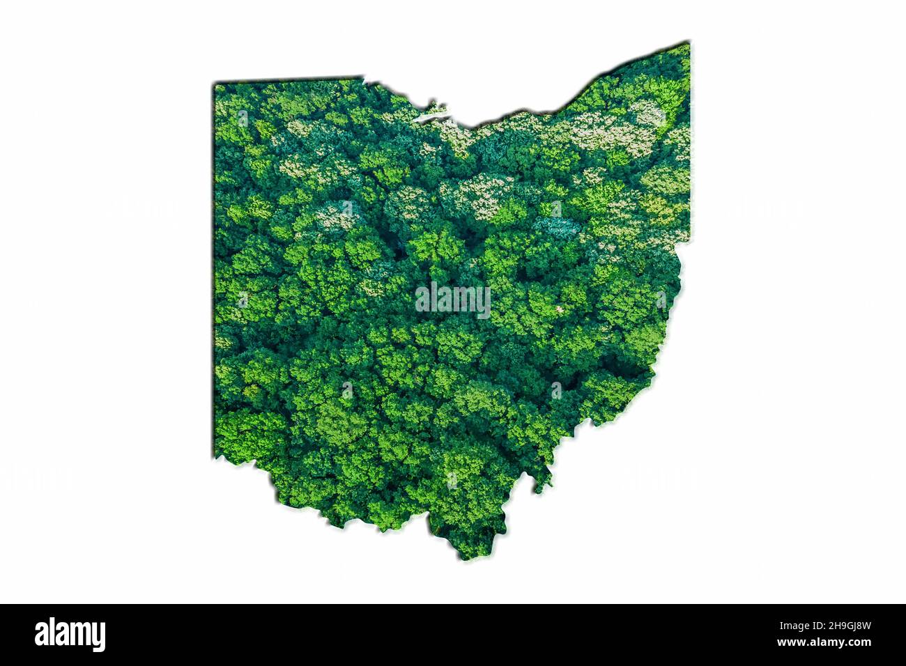 Green Forest Karte von Ohio, auf weißem Hintergrund Stockfoto