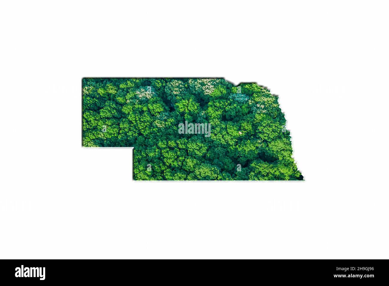 Green Forest Karte von Nebraska, auf weißem Hintergrund Stockfoto