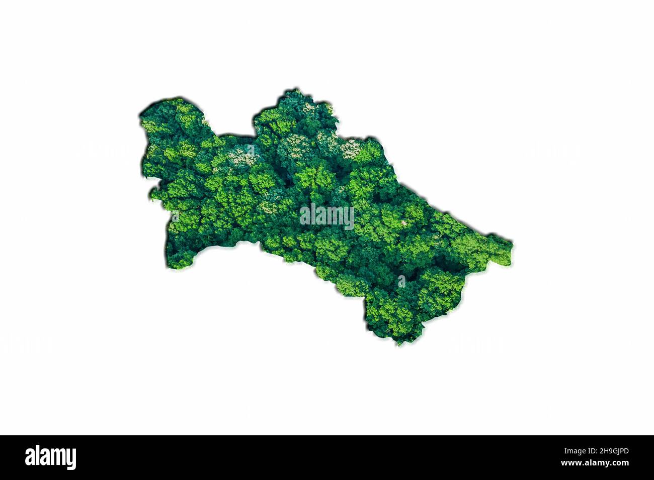 Green Forest Karte von Turkmenistan, auf weißem Hintergrund Stockfoto