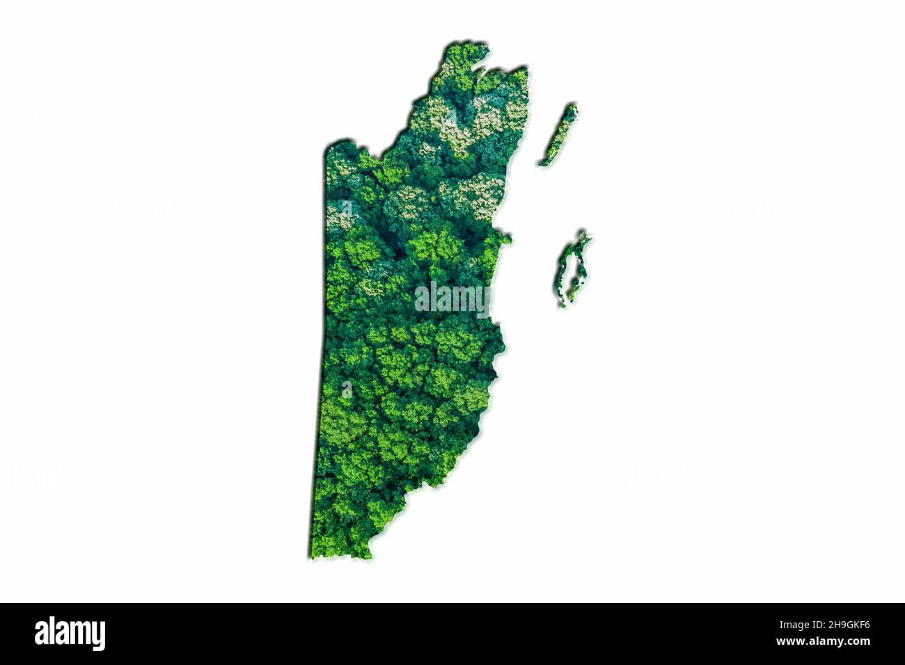 Green Forest Karte von Belize, auf weißem Hintergrund Stockfoto