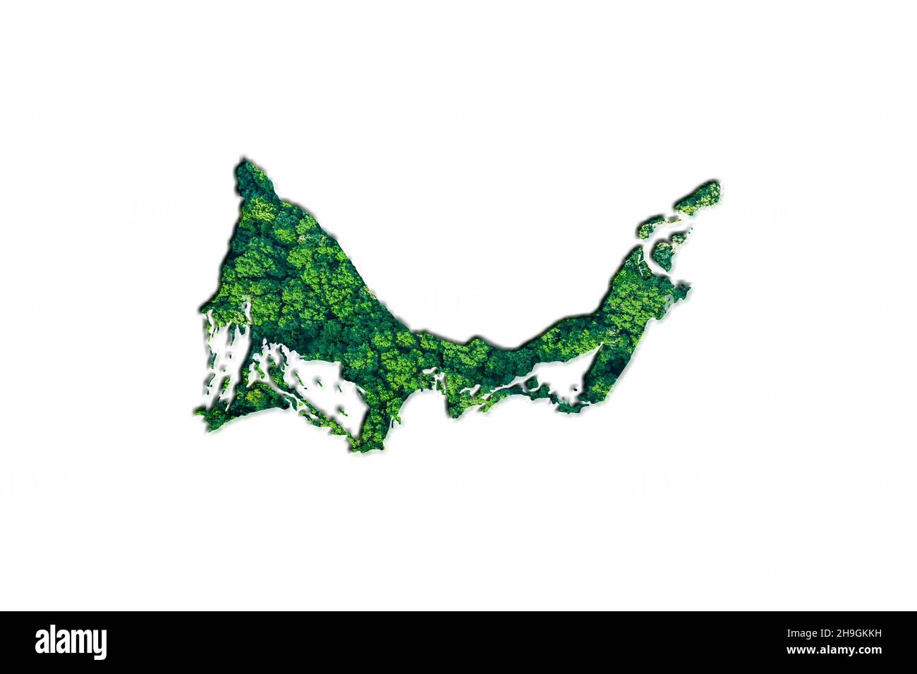 Grüne Waldkarte der Turks- und Caicosinseln, auf weißem Hintergrund Stockfoto