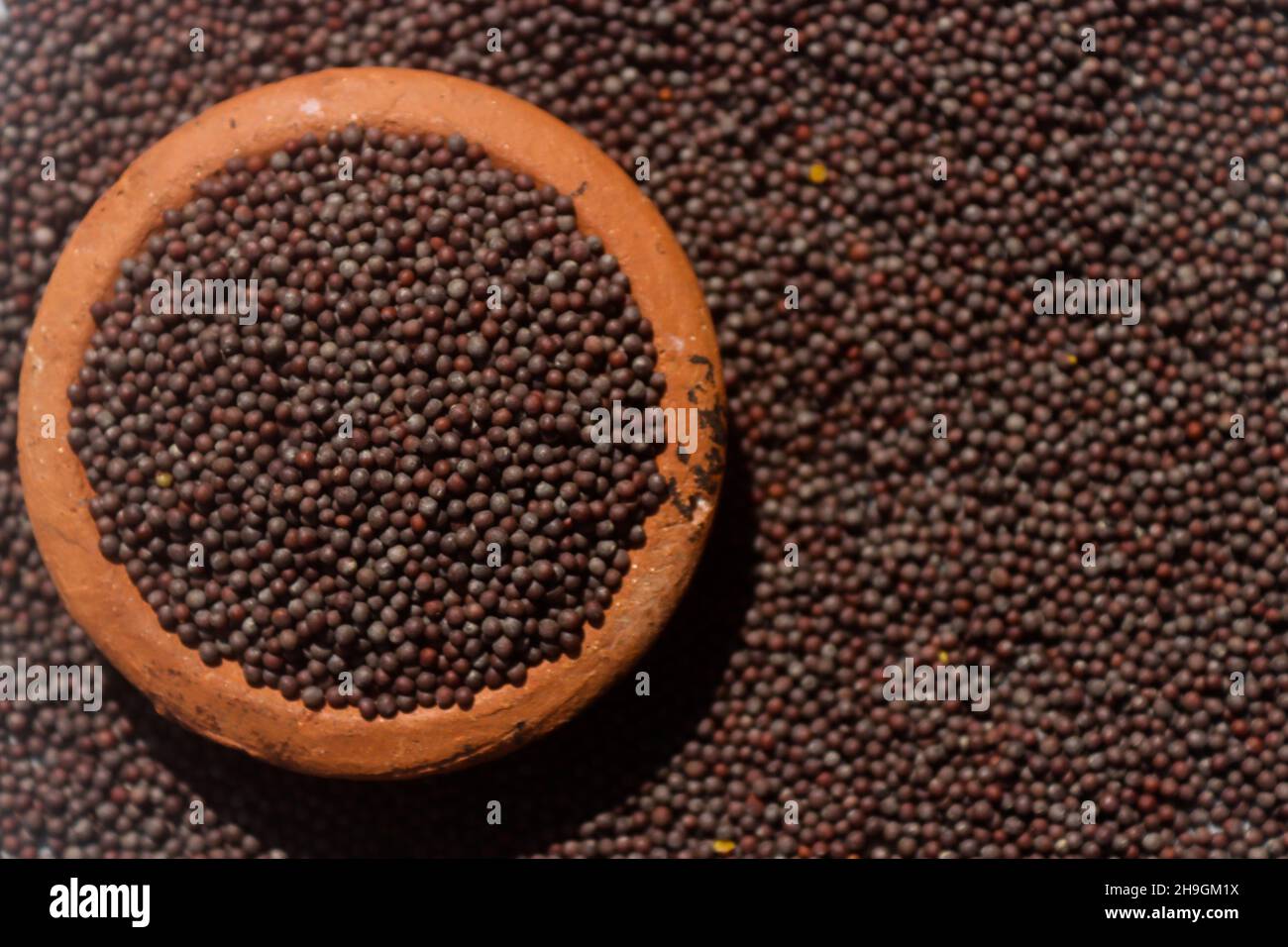 Senfkörner und Senfkernöl Stockfoto