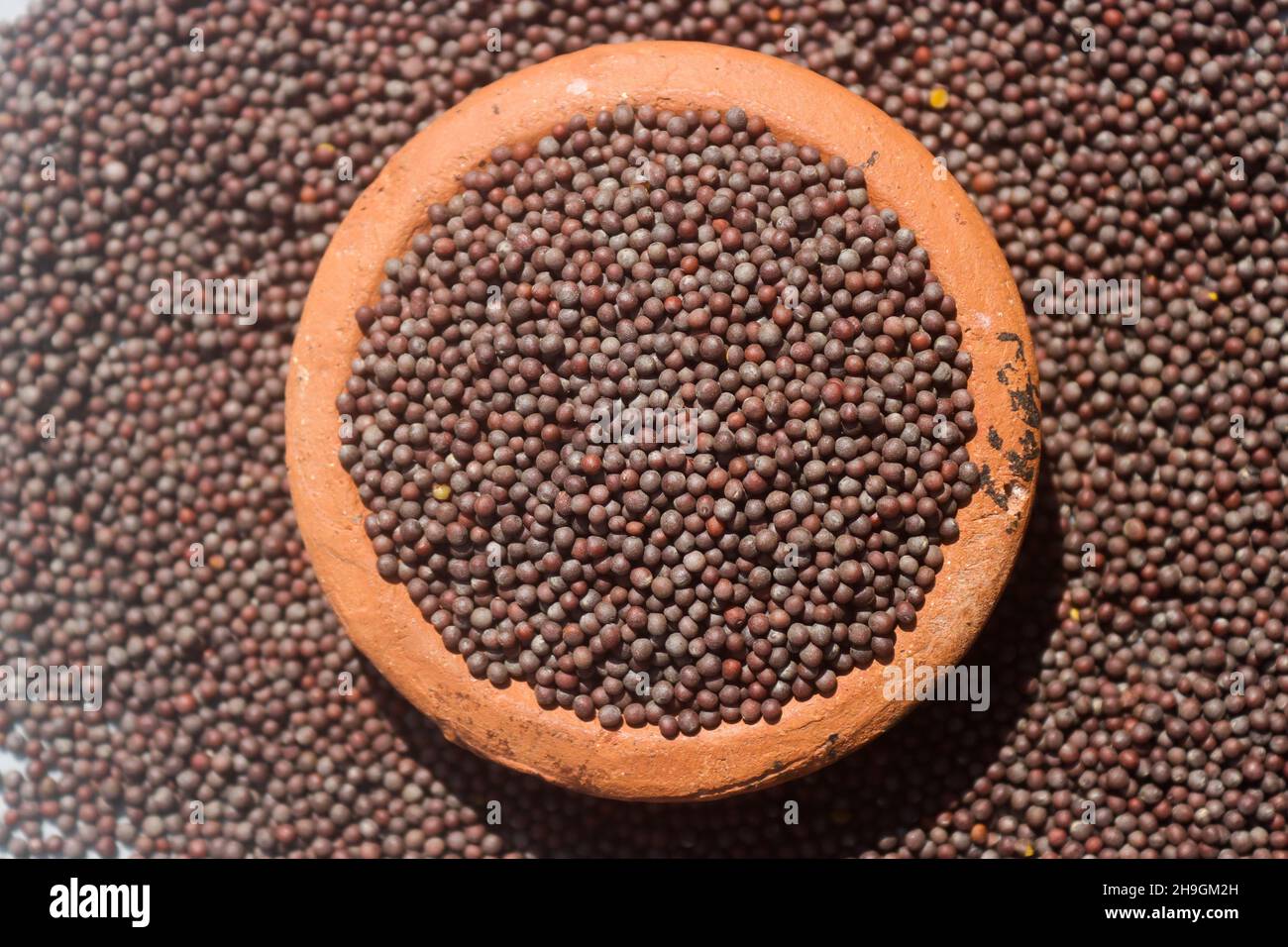 Senfkörner und Senfkernöl Stockfoto