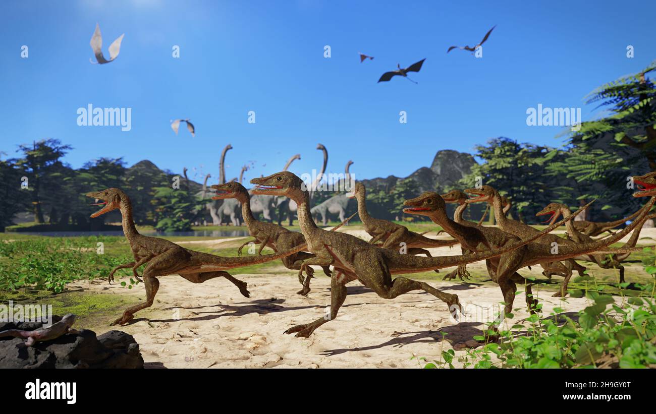 Compsognathus longipes, Gruppe kleiner Dinosaurier mit einem Schwarm von Pterosaur und einer Herde von Brachiosaurus im Hintergrund Stockfoto
