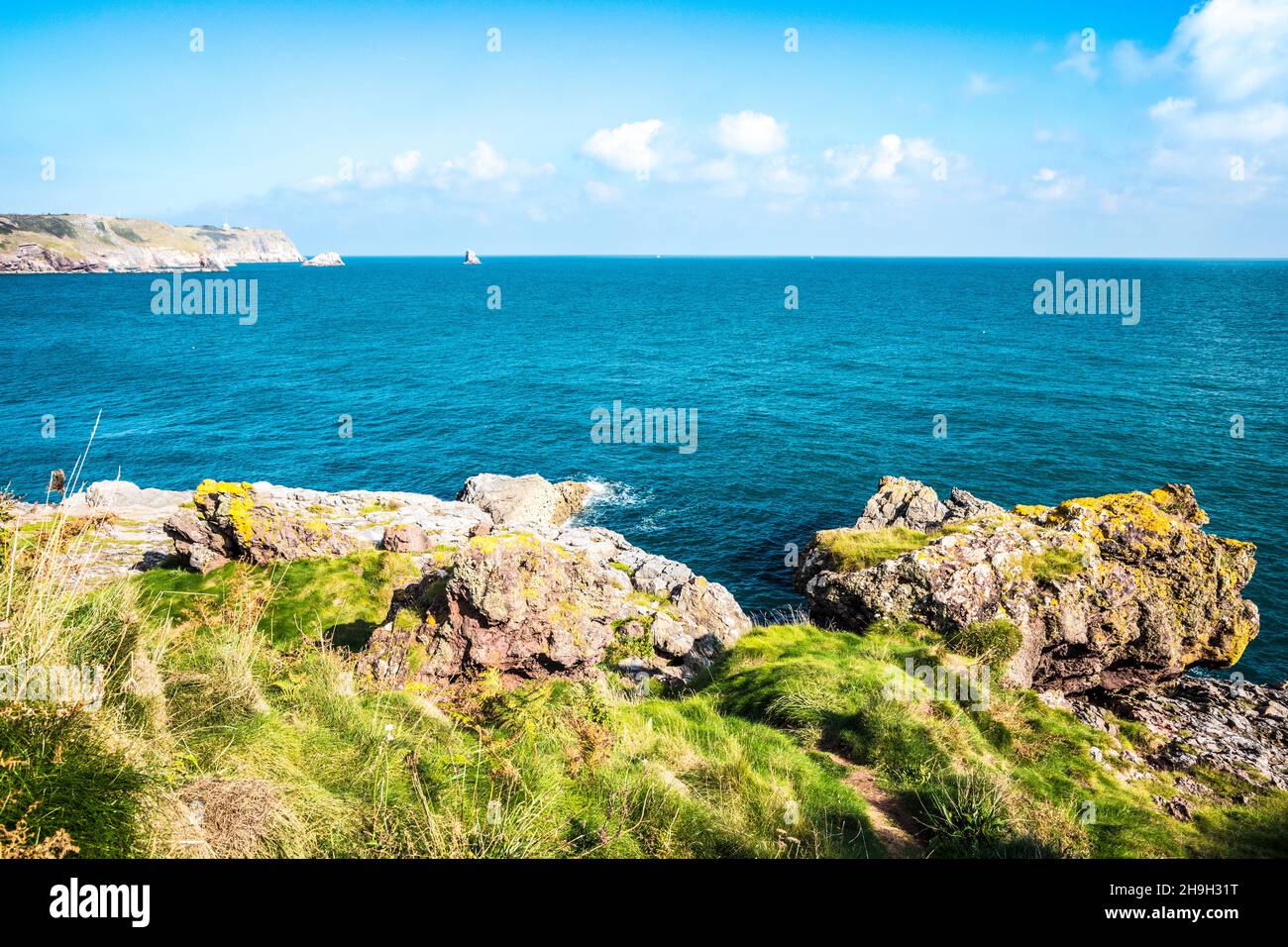 Blick auf St. Mary's Bay, Darl Head und Berry Head bei Brixham in Devon vom South West Coast Path mit Darl Rock, Mew Stone und Cod Rock Stockfoto