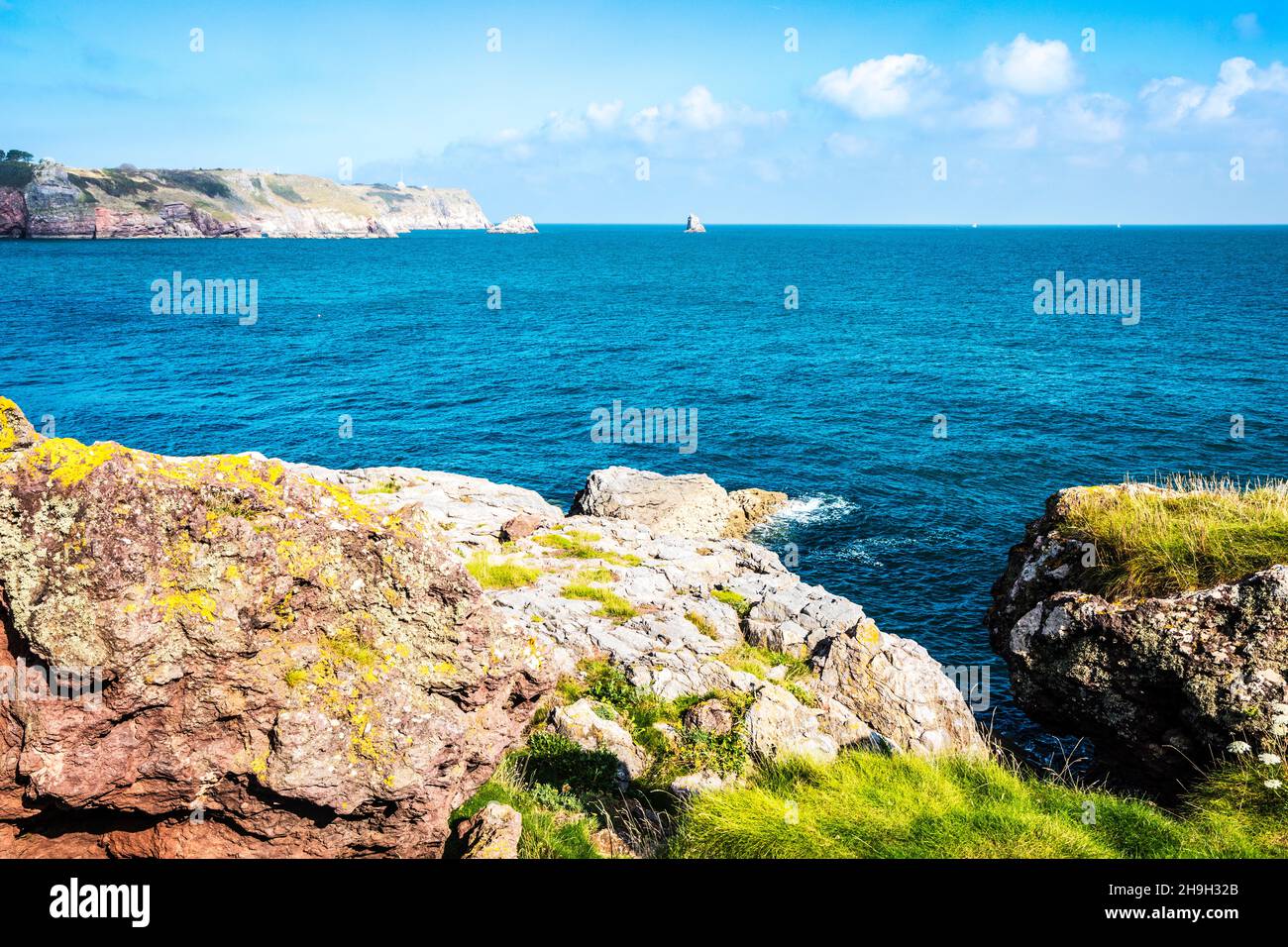 Blick auf St. Mary's Bay, Darl Head und Berry Head bei Brixham in Devon vom South West Coast Path mit Darl Rock, Mew Stone und Cod Rock Stockfoto