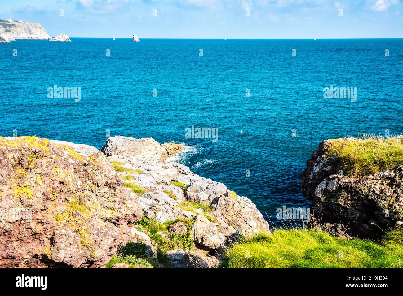 Blick auf St. Mary's Bay, Darl Head und Berry Head bei Brixham in Devon vom South West Coast Path mit Darl Rock, Mew Stone und Cod Rock Stockfoto