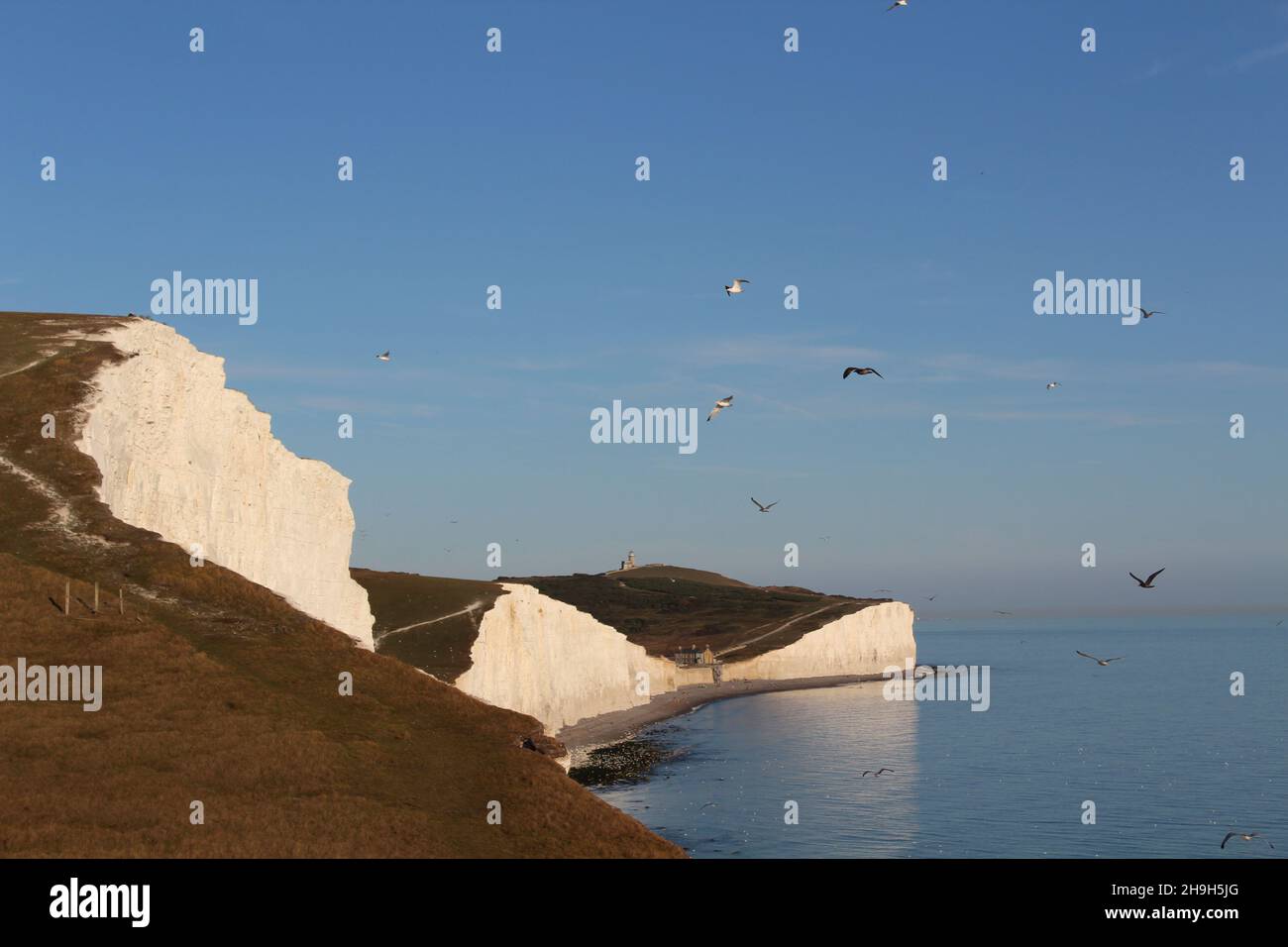 Seven Sisters Kreidefelsen mit klarem Himmel bei Sonnenuntergang (Seven Sisters, Sussex, England) Stockfoto