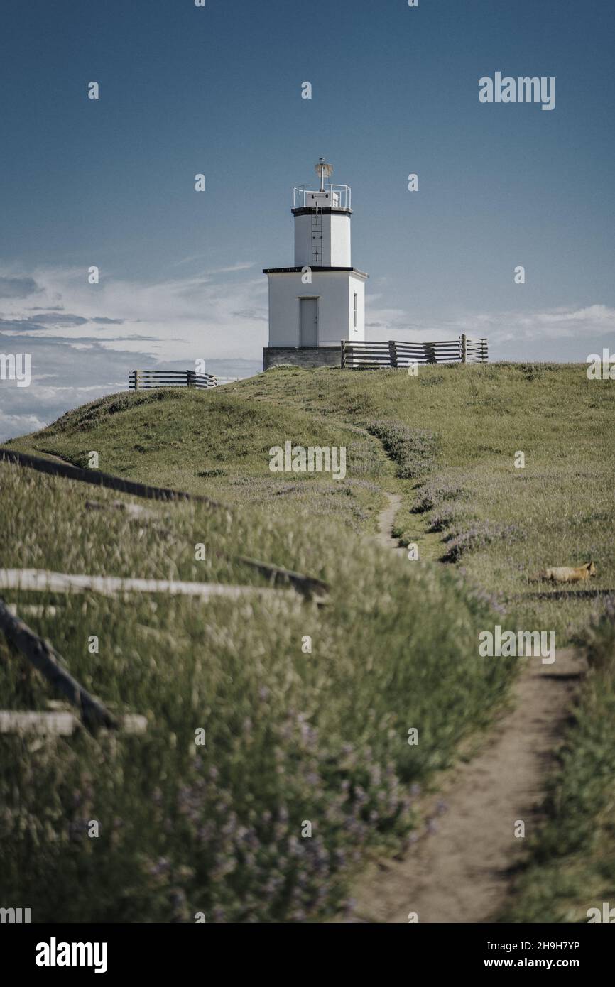 Vertikale Aufnahme eines Leuchtturms auf der Insel San Juan bei Tageslicht Stockfoto