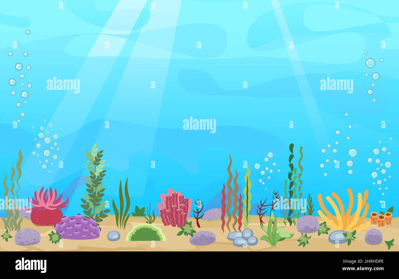 Sandiger Boden des Reservoirs. Blaues transparentes klares Wasser. Meer. Unterwasserlandschaft mit Pflanzen, Algen und Korallen. Illustration in Cartoon Stock Vektor