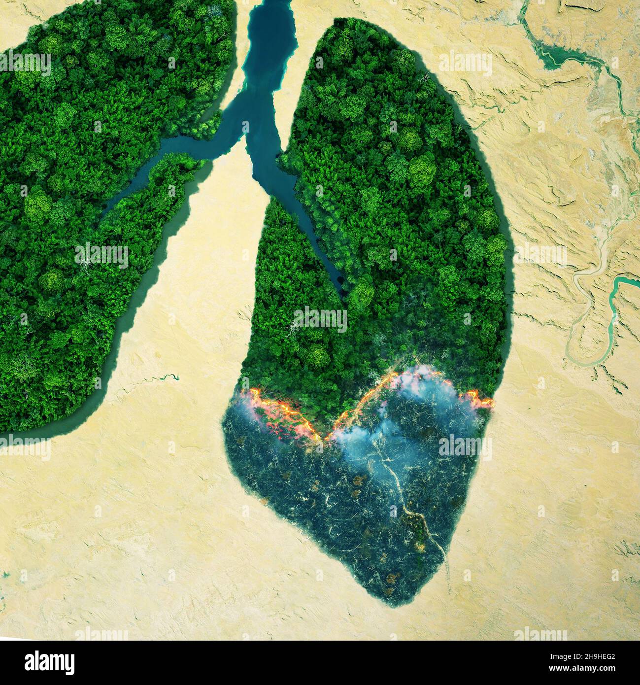 Grüne Waldbäume brennen, Draufsicht. Waldbrand, Luftaufnahme. Grüne Lungen des Planeten Erde. Konzept des Natur- und Regenwaldschutzes, nature br Stockfoto