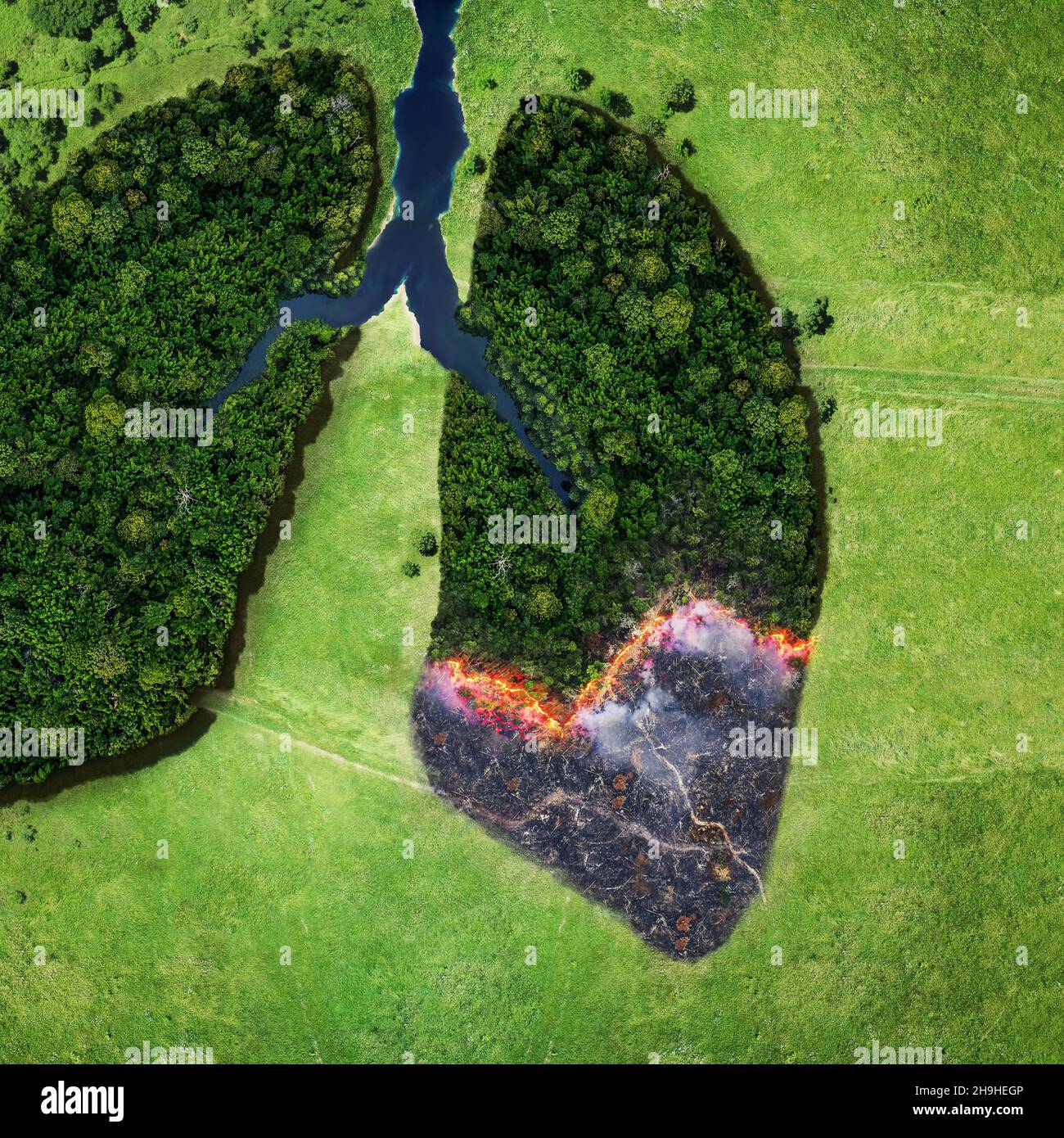 Wald und Feuer auf einem grünen Feld, Draufsicht. Bäume in Form von Lungen, die Gesundheit des Planeten Erde. Konzept der Umweltverschmutzung. Lungenraucher Stockfoto